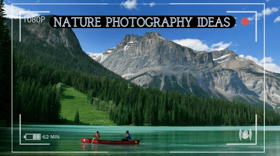 Best 15 Nature Photography Ideas to Get Inspiration