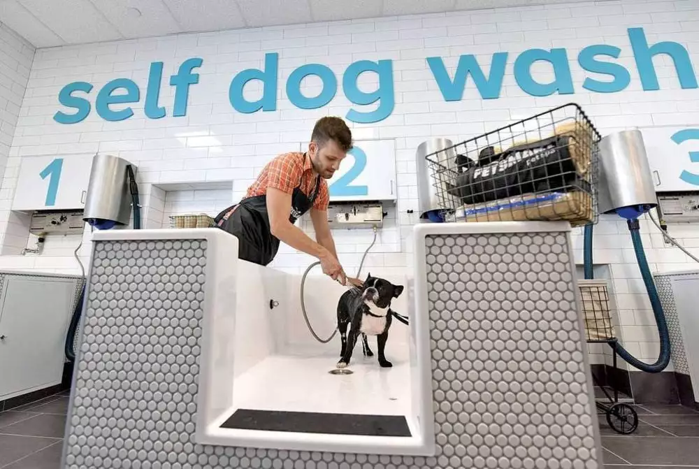 Dog Wash Service, Pet Supermarket