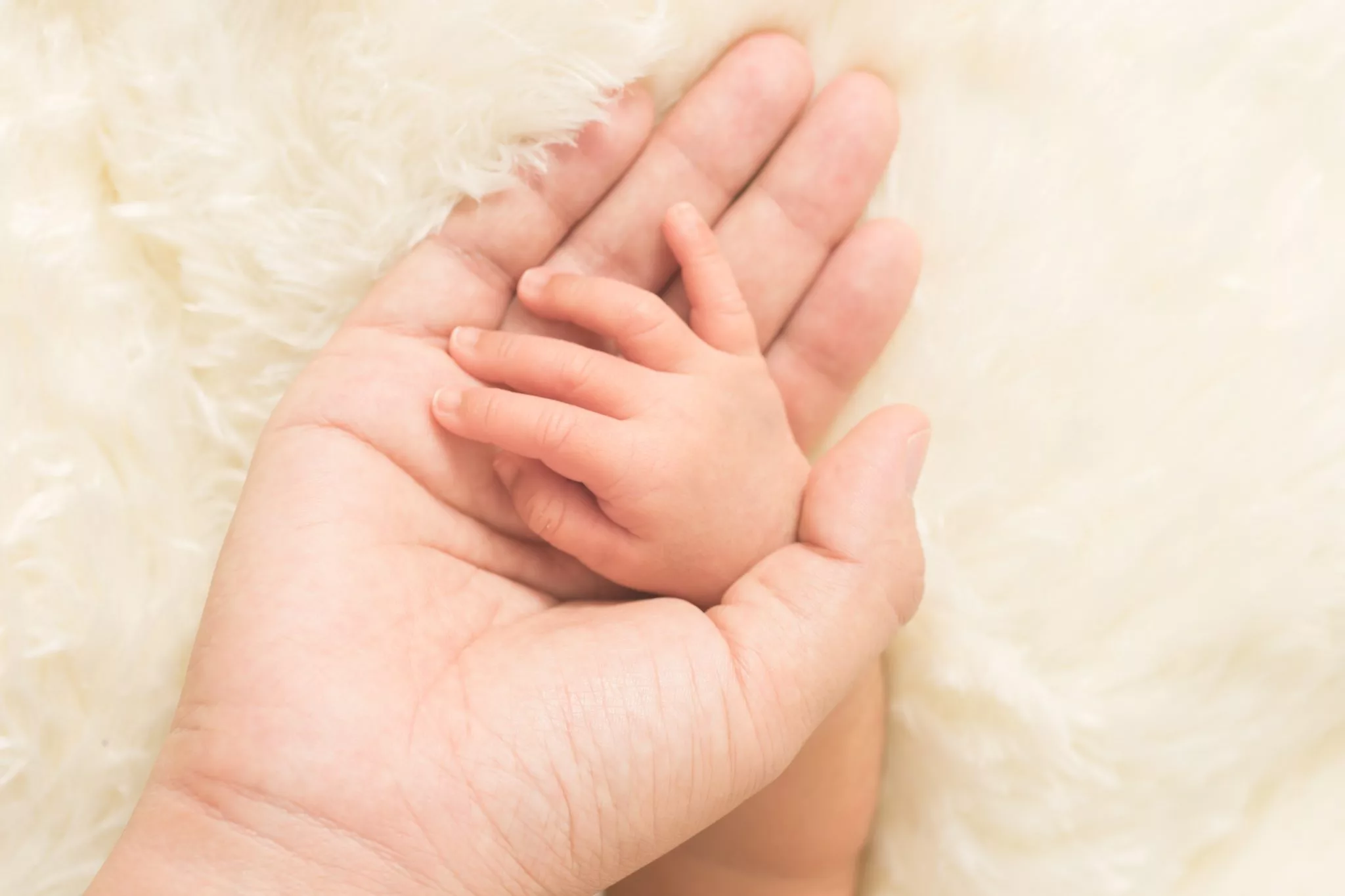 Focus on the Hands Newborn Photography