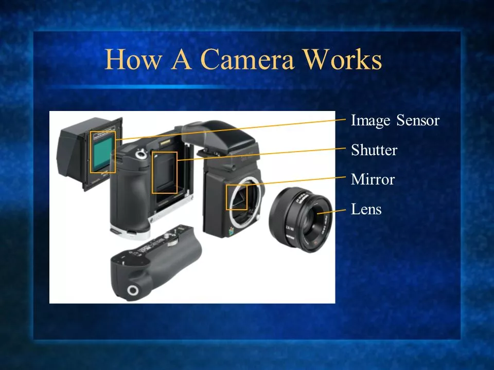 How Does Camera Film Work