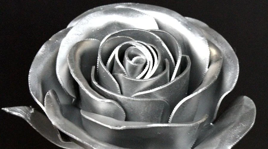 Silver rose photography
