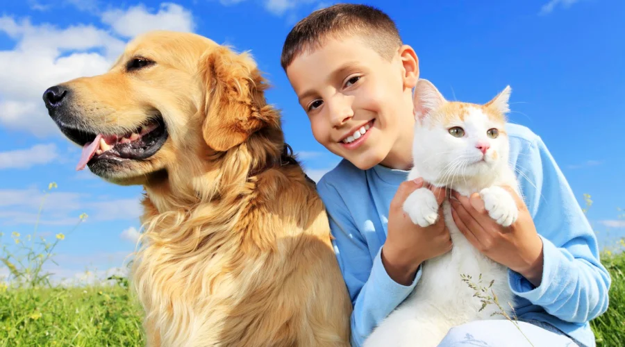 Best Small Pet Options for 9, 10, 11, and 12 Years Old Kids