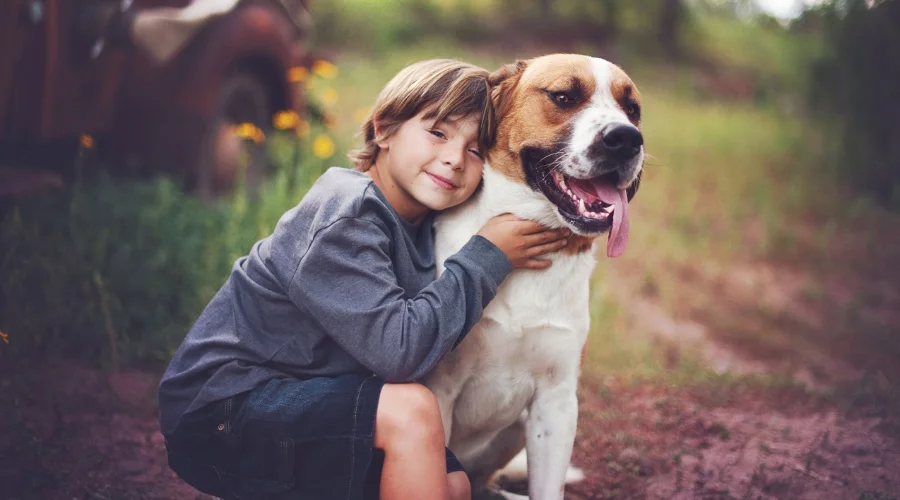 Best Small Pets for ADHD Children