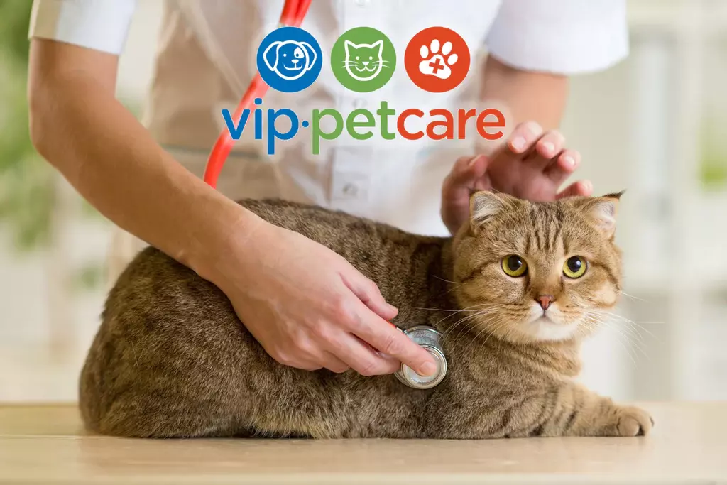 VIP Pet Care Clinics 