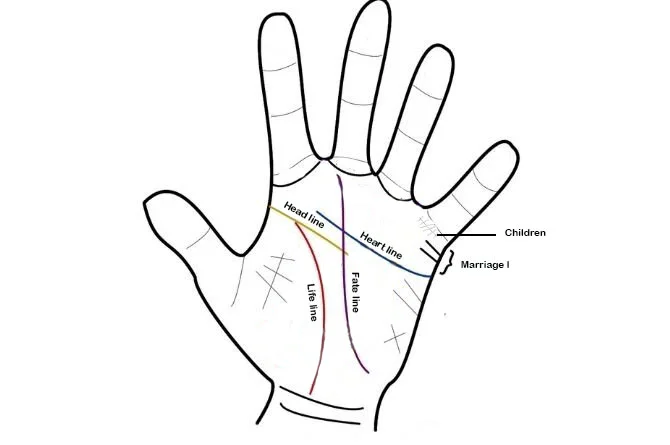 How to Lines of Hands, Palm Reading