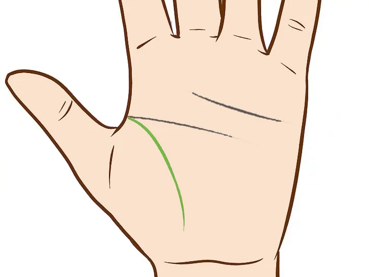 Runs close to thumb- often tired, wikilearns, palm reading