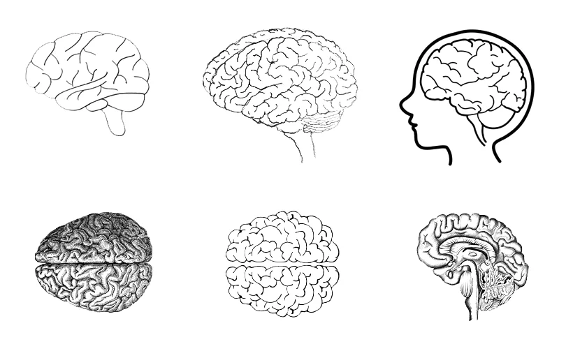 Draw Your Brain, Creative Drawings, WikiLearns