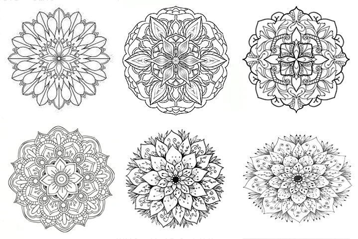 Draw A Botanical Mandala, Creative Drawings
