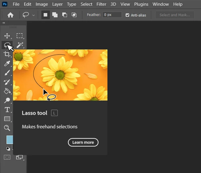 Lasso Tool in Photoshop, Photoshop