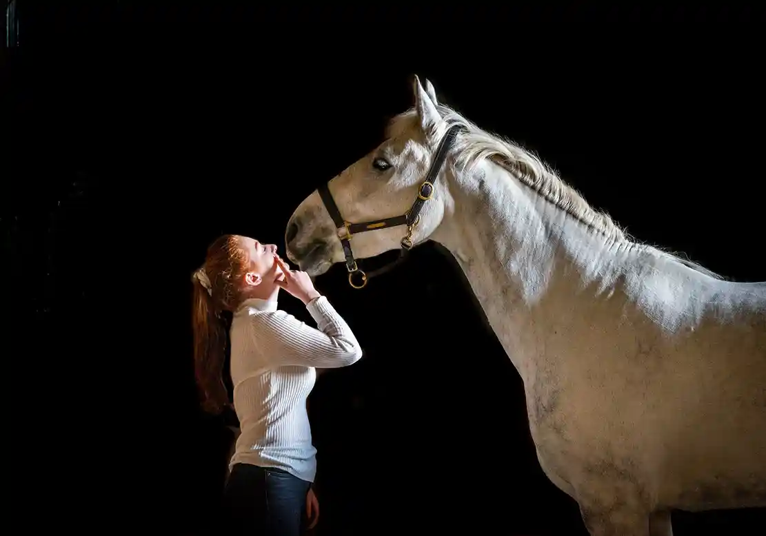 Black Background, Horse Photography, Photoshoot Ideas with Horses