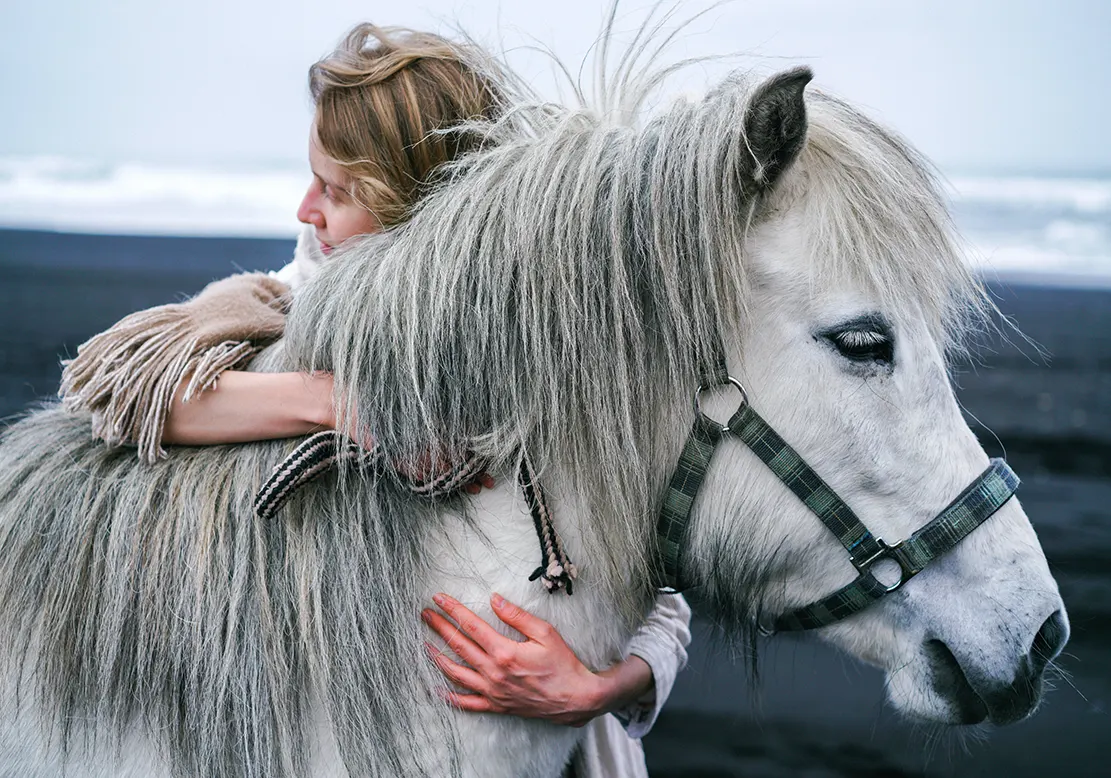 Hug Your Horse, Photoshoot Ideas with Horses, wiki learns