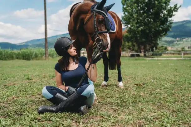 Sitting Beside A Horse