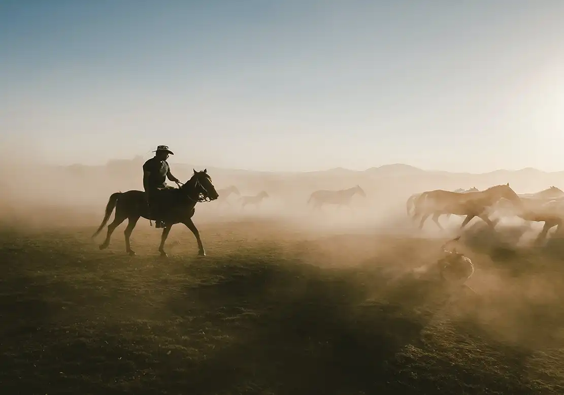 Riding Horse in Nature, Photoshoot Ideas with Horses