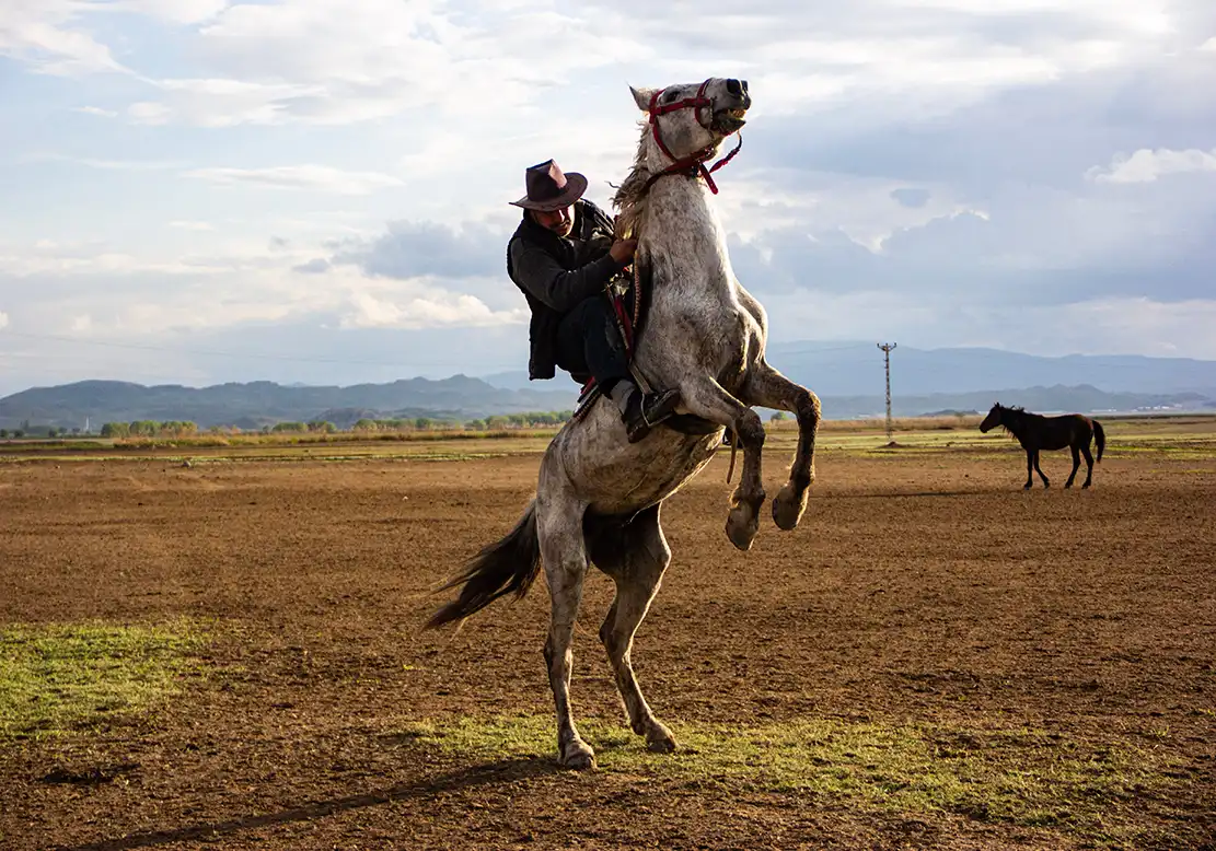 Stand in Hind Lag