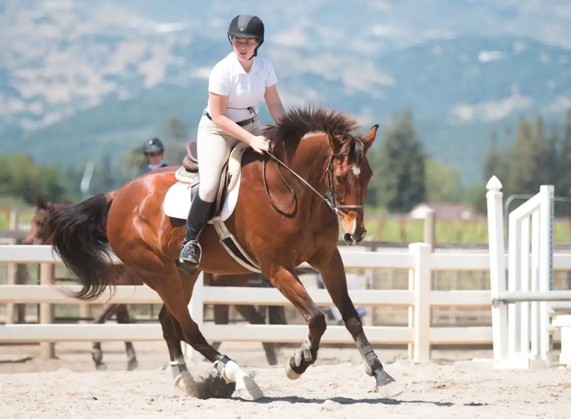 Riding with the Wind, Horse Photography