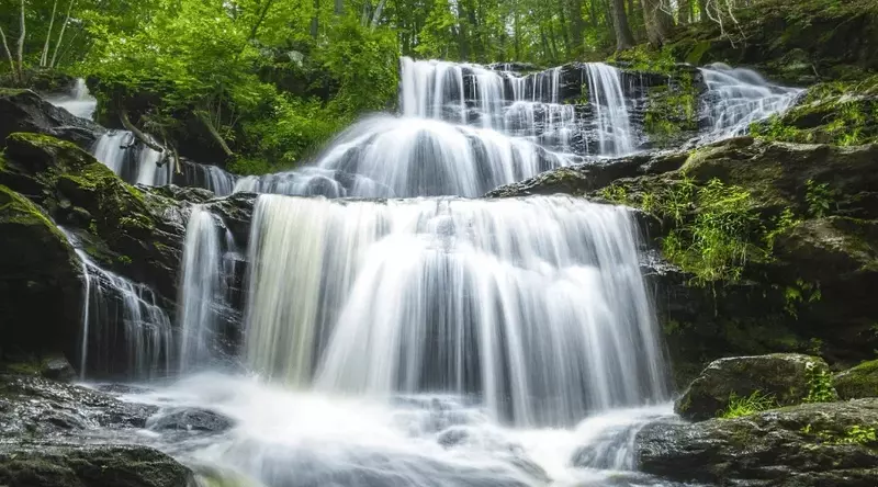 Cascading Waterfalls In Forest