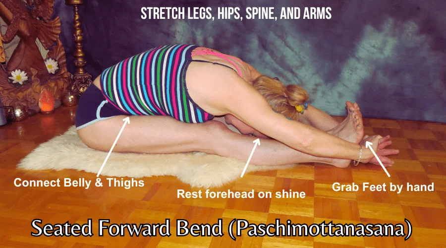 Seated Forward Bend (Paschimottanasana), Yoga for Relaxation and Stress Relief