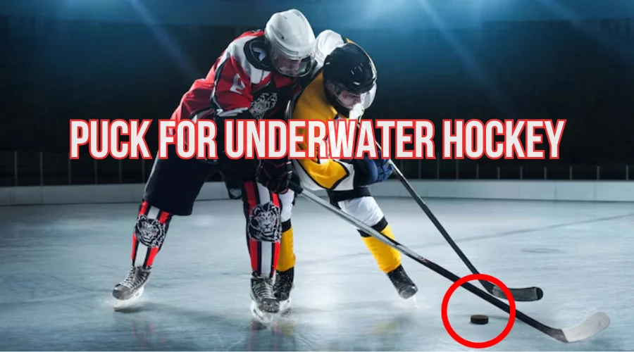 Puck (Most Important of the Match), Underwater Hockey Equipment